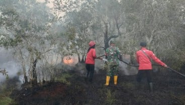 Dua Titik Lahan Kebakaran di Sumsel Berhasil Dipadamkan