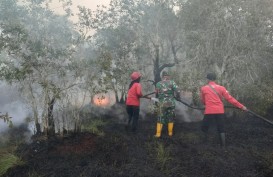 Dua Titik Lahan Kebakaran di Sumsel Berhasil Dipadamkan