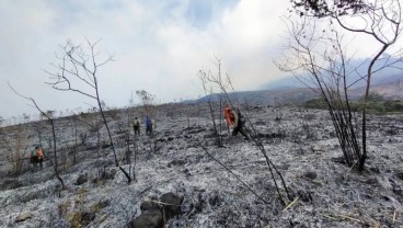 Kebakaran Gunung Arjuno, Pendakian Ditutup Sementara