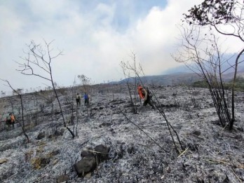 Kebakaran Gunung Arjuno, Pendakian Ditutup Sementara