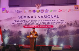 Sulsel Potensial Jadi Pemasok Unit Karbon Terbesar di Indonesia