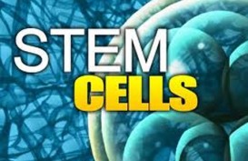 Investor Malaysia Berminat Buka Laboratorium Stem Cell di Riau