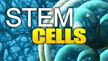 Investor Malaysia Berminat Buka Laboratorium Stem Cell di Riau