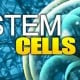 Investor Malaysia Berminat Buka Laboratorium Stem Cell di Riau