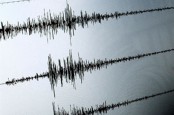 BMKG Ungkap Penyebab Gempa M7,1 di Utara Lombok Dini Hari Tadi