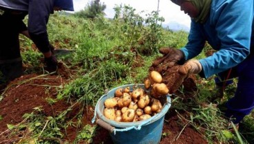 Kaleka Dorong Generasi Muda jadi Petani Inovatif Lewat Tani Baik