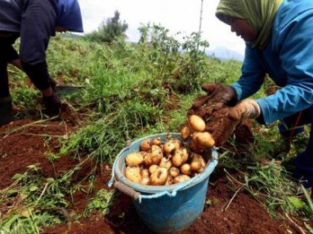 Kaleka Dorong Generasi Muda jadi Petani Inovatif Lewat Tani Baik