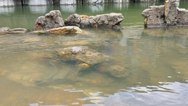 Batu Malin Kundang di Padang Sekarang Tenggelam Jadi Sorotan