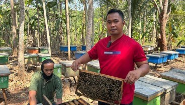 Cerita Peternak Lebah Binaan Jamkrindo, Musim Kemarau Periode Panen