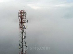 Menilik Pasar Internet Indonesia Bagian Timur, Wilayah Ekspansi Starlink Elon Musk