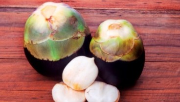 Ini Khasiat Buah Lontar Bagi Penderita Diabetes dan Migrain