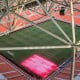 Kiat-kiat Jakpro untuk Jaga Kualitas Rumput JIS demi Piala Dunia U-17