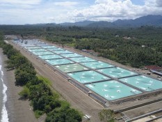 DAMPAK PEMBANGUNAN IKN : Celebes Bersiap Jadi Penyangga