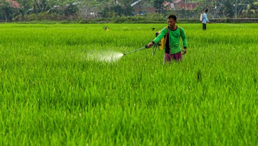 NTP Sumbar Naik Tipis pada Agustus 2023