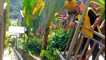 Insiden Lift Putus: Ayuterra Resort Ditutup, Tamu Dievakuasi