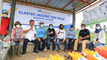 Ini Jenis, Cara Pengajuan, dan Syarat KUR BRI 2023 Terbaru