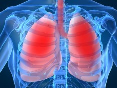 Tips Jaga Organ Pernapasan Tetap Sehat di Tengah Polusi Udara yang Meningkat