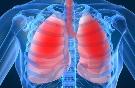 Tips Jaga Organ Pernapasan Tetap Sehat di Tengah Polusi Udara yang Meningkat