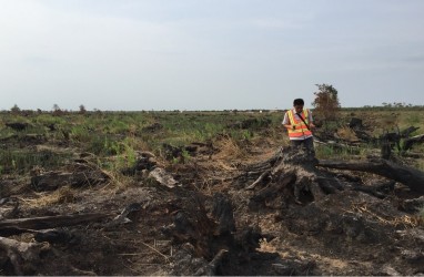Kebakaran Lahan di Indragiri, Libatkan Helikopter untuk Pemadaman