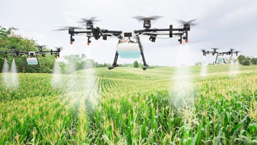 Rusia Sedikitnya Tembak Jatuh 3 Drone Ukraina, 50 Penerbangan Dibatalkan