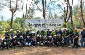 Tekan Emisi Gas Rumah Kaca,  Pamapersada (PAMA) Tanam Pohon Mangrove di Pantai Lamaru Kaltim