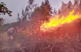 Api Belum Padam, 907 Hektare Lahan Gunung Arjuna di Kota Batu Terbakar