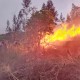 Api Belum Padam, 907 Hektare Lahan Gunung Arjuna di Kota Batu Terbakar