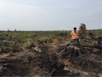 300 Hektare Lahan Terbakar di Kawasan Sepucuk OKI Berhasil Dikendalikan