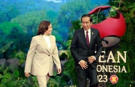 Jokowi ke Kamala Harris: Saya Turut Belasungkawa atas Kebakaran di Maui Hawaii