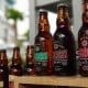 Christopher Sumasto Tjia di Balik IPO Lovina Beach Brewery (STRK)
