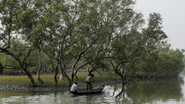 Negara-Negara Berkembang Usul Dana Kerusakan Akibat Perubahan Iklim Rp1.500 Triliun ke PBB