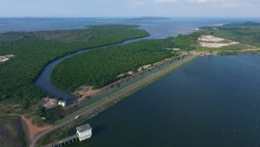 Proyek Eco-City di Pulau Rempang yang Berkonflik dengan Warga, Begini Gambarannya