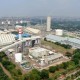 Kongsi PLN-Pupuk Indonesia-ACWA Bangun Pabrik Hidrogen Terbesar di RI