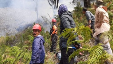 Bukit Teletubbies Terbakar Karena Flare Prewedding, Polri Sudah Tetapkan Tersangka