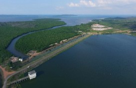 5 Fakta Megaproyek Pulau Rempang Milik Tomy Winata di Batam