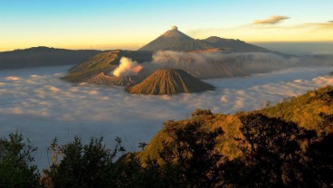Kebakaran Bukit Teletubbies Gunung Bromo, Ini Pesan KLHK