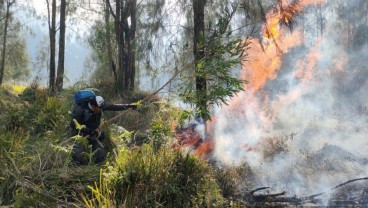 Kebakaran Hutan  di Gunung Arjuno Wilayah Kota Batu, Begini Perkembangannya