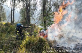 Kebakaran Hutan  di Gunung Arjuno Wilayah Kota Batu, Begini Perkembangannya