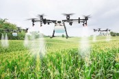 Rusia Hancurkan Dua Drone Ukraina di Belgorod, Tidak Ada Korban Jiwa