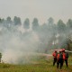 Dalam Sebulan, 55 Hektare Lahan di Kabupaten Sumedang Terbakar