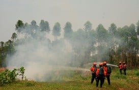Dalam Sebulan, 55 Hektare Lahan di Kabupaten Sumedang Terbakar