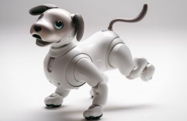 Sony Bagi-Bagi Uang, Cari Orang Tua Asuh untuk Robot Anjing Lucu Aibo
