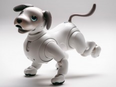 Sony Bagi-Bagi Uang, Cari Orang Tua Asuh untuk Robot Anjing Lucu Aibo