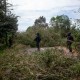 Polisi Tangkap 43 Orang Usai Demo Ricuh Terkait Konflik Pulau Rempang
