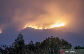 Luas Area Terbakar di Gunung Arjuno Mencapai 916,33 Hektare