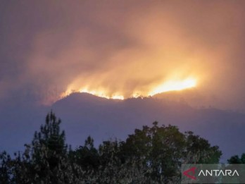 Luas Area Terbakar di Gunung Arjuno Mencapai 916,33 Hektare