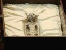 Geger Temuan Tubuh Alien, Parlemen Meksiko Gelar Sidang Bahas UFO
