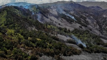 Kebakaran Bromo, Tim Fokus Tangani Api di Mungal Tosari Pasuruan