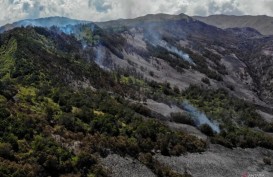 Kebakaran Bromo, Tim Fokus Tangani Api di Mungal Tosari Pasuruan