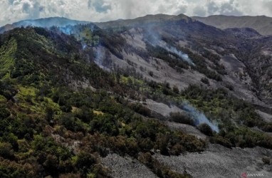 Kebakaran Bromo, Tim Fokus Tangani Api di Mungal Tosari Pasuruan
